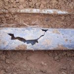 Damaged sewer line